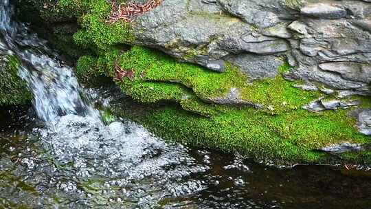 春天阳光下的小溪流石头苔藓