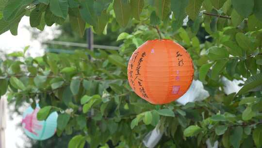 中秋节绿叶间挂的纸灯笼