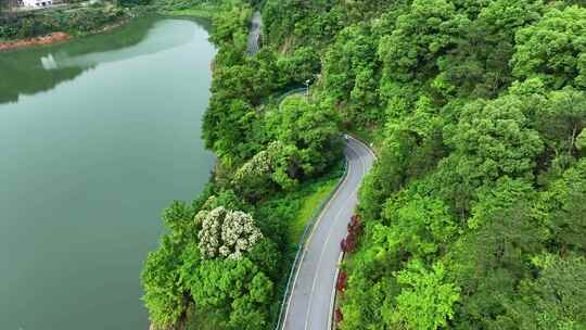 航拍汽车行驶在盘山公路