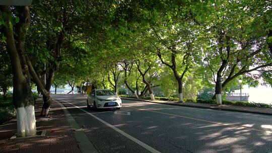 清晨道路汽车