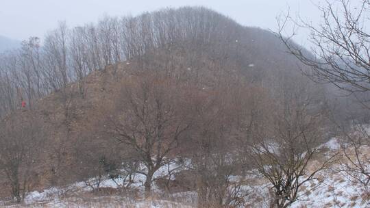 冬天秦岭山深处岭南公园的雪景