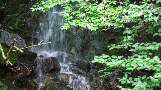 森林流水大自然小溪水瀑布山涧水源泉水山水视频素材模板下载