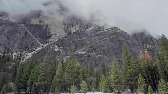 优胜美地，森林，雪，山脉