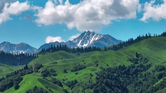 航拍雪山丛林风景