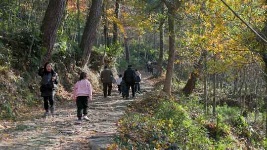 秋日古道：林间小路上有许多人正在散步