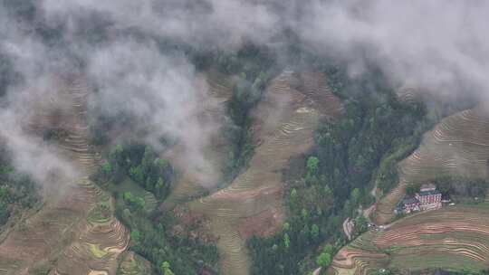 龙脊梯田航拍