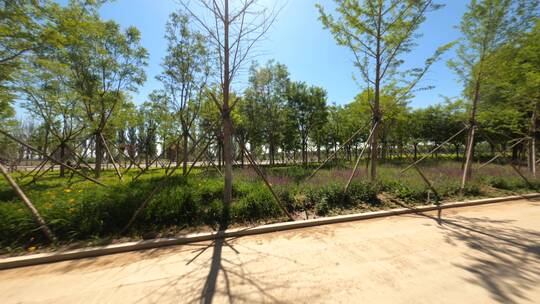 城市边界的绿植公园