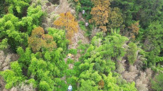 重庆缙云山恢复开放，观光索道重新启动。