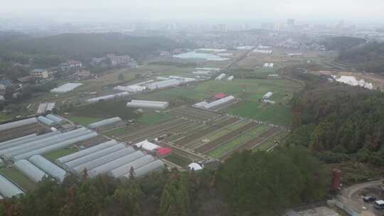 南方乡村农田农业种植航拍