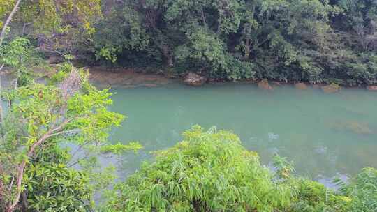 青山绿水 河流 树叶 C211