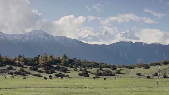西藏吉隆县乃夏村风景