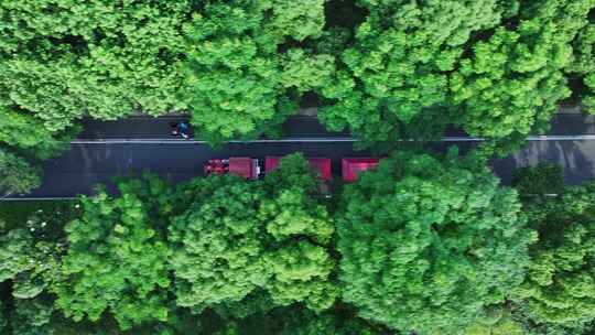 长沙橘子洲景区观光小火车