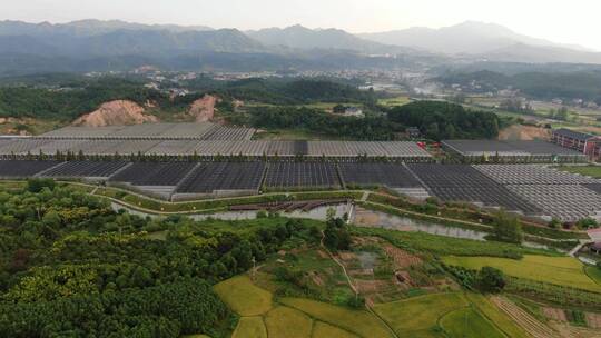 航拍现代农业大棚种植基地