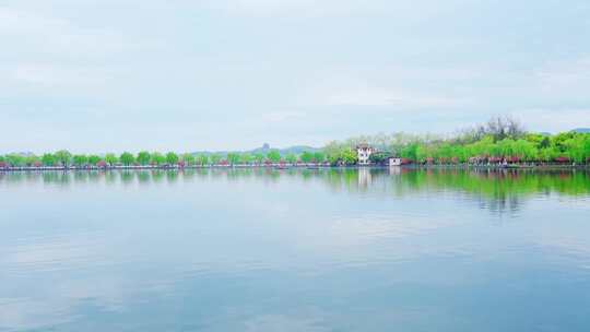 杭州西湖春天风景