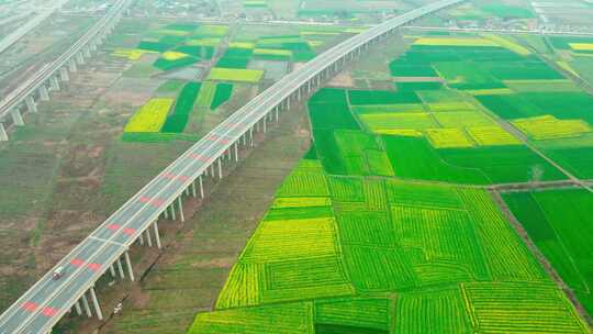 航拍高速公路油菜花