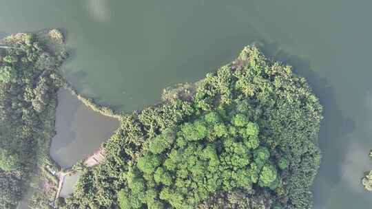 东莞市同沙生态水库公园航拍