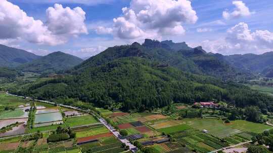 福建武夷山绿色农田与茶田选编