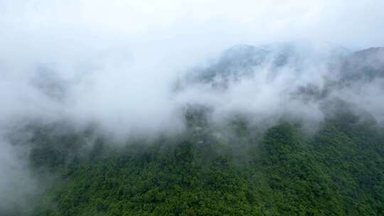 4K张家界山峰河流云雾自然风光航拍视频