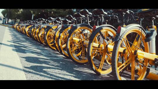 一排共享单车