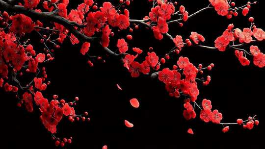 红色梅花花瓣飘落特写