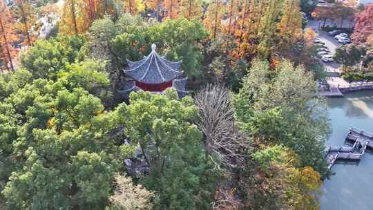 上海秋天 嘉定秋天 上海孔庙