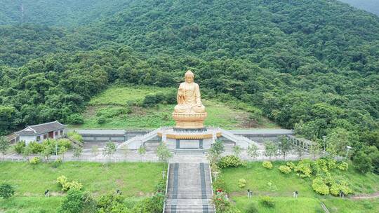 汕尾海丰莲花大佛正面前进