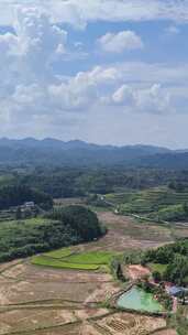 竖屏航拍南方山川丘陵梯田农田