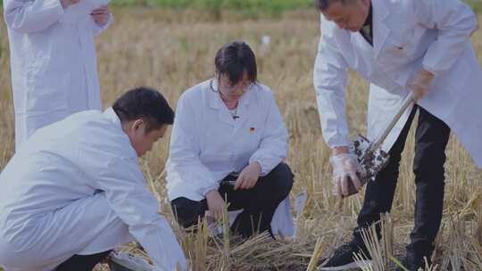 农田土壤研究现代农业育种基地