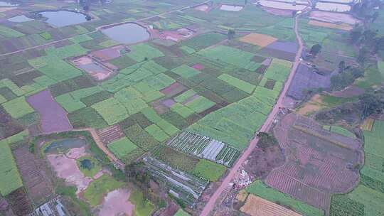 4K农业标准化田地三农农田航拍