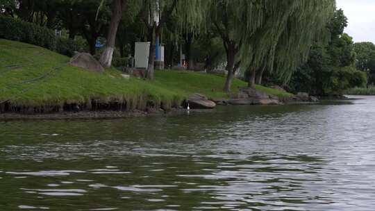 生态河道 河道保护 生态河道治理