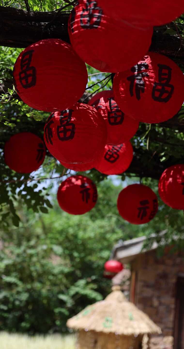 树枝悬挂带福字红灯笼