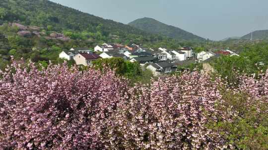 美丽乡村太湖东岸光福谭东村（航拍运镜）