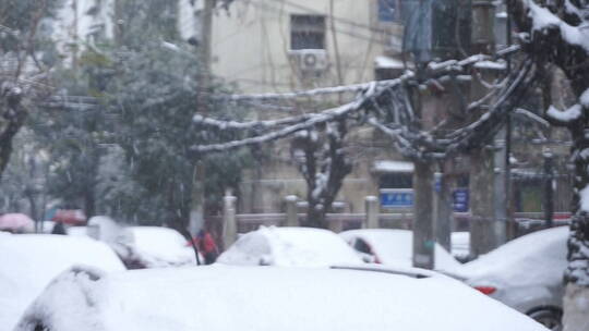 南方城市雪景下雪