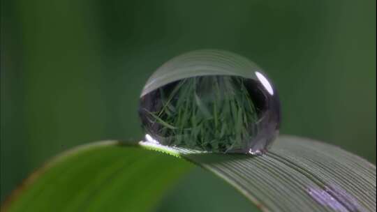 水滴水珠露水晨露蒸发