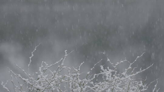 冬季雪景 城市初雪 下雪空镜