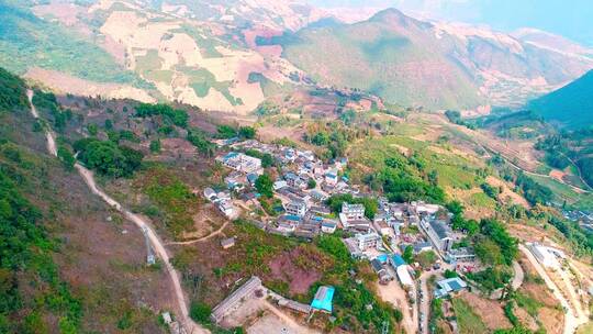 高黎贡山百花岭景区（摄影爱好者打鸟胜地）