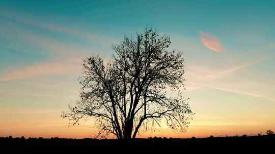 《假如爱有天意》主题视频