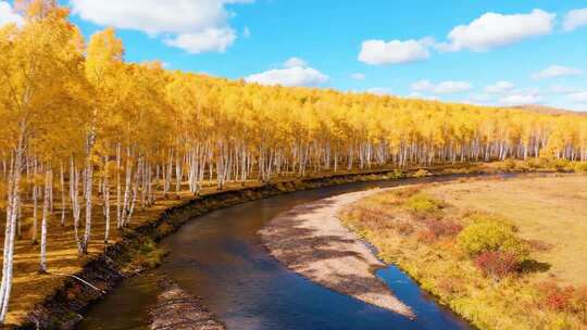 秋季森林河流自然风光