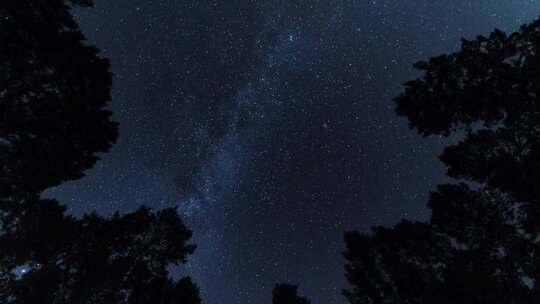 树林仰望星空银河夜空延时