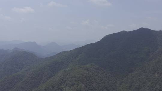 绿水青山