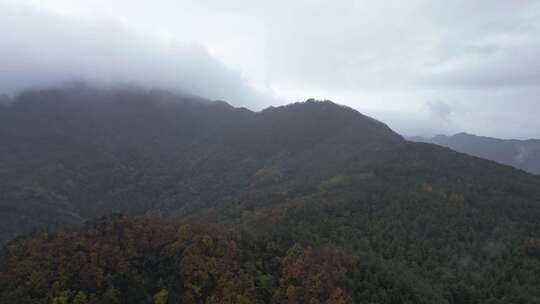 漫山红叶巴中光雾山附近