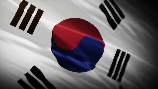 韩国国旗挥舞-4K