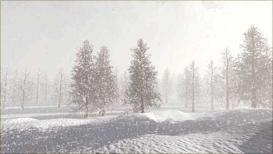 大自然冬季风光雪树景观