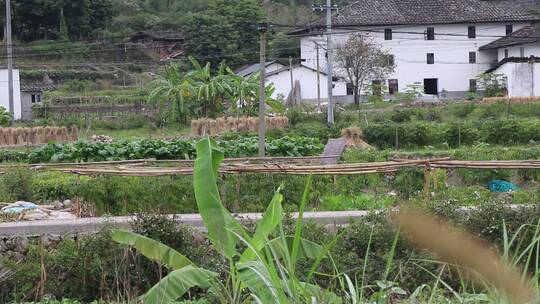 田野农田小屋美丽乡村