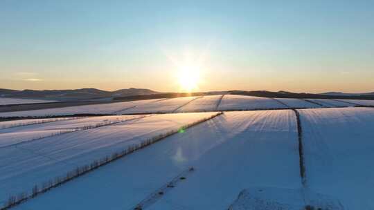 雪后垦区田野夕阳时的唯美时刻