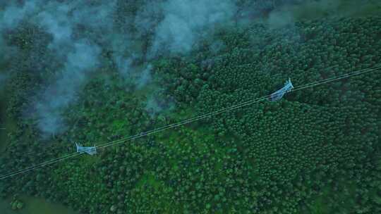 航拍自然森林