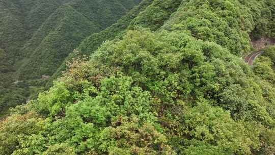 桃岭六道弯_0057