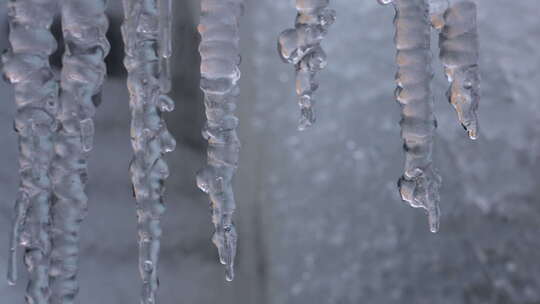 春天自然冰冻滴水冰雪融化