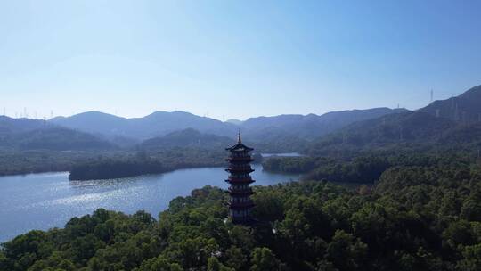 航拍深圳坪山大山陂公园泰和塔B