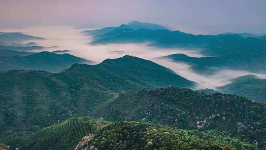 高山云海